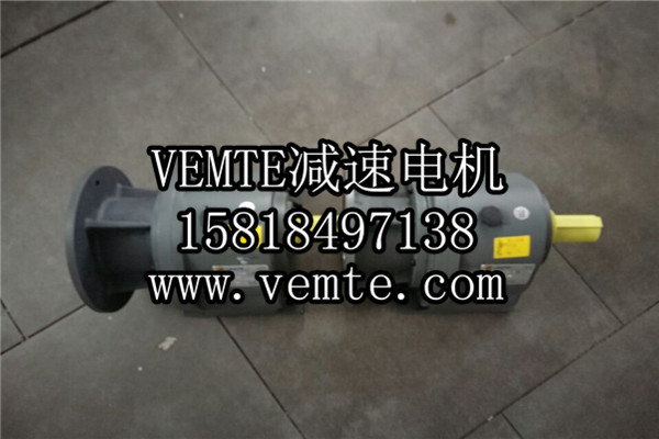 立式齒輪減速機，臥式齒輪減速機,齒輪減速電機,齒輪減速馬達 (1)